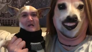 Lady uses snapchat filter to switch faces with dog