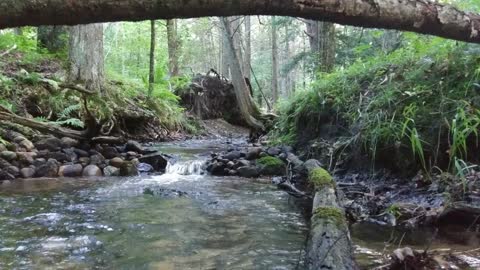 The Relaxing Sound of Fuller Creek in Oceana County, MI