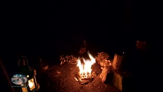 Woodland wildcamping vlog and campfire