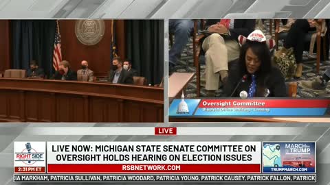 2020 Election Statement - Michigan State Senate Committee