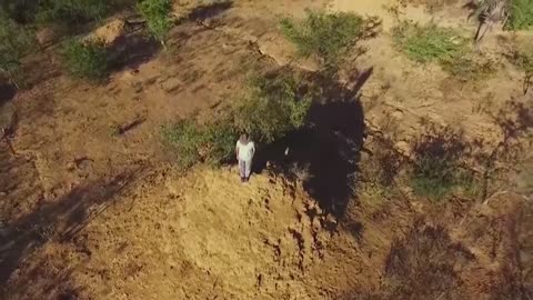 Descubren megalópolis construida por termitas en Brasil