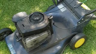 Easy-Breezy Lawn Mower Start-Up