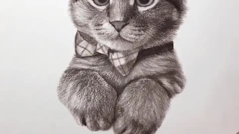 Freehand Drawing #Cute Cat #Pencil Drawing