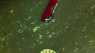 Teeth denture, red lighter, and cigarette on the floor of subway train