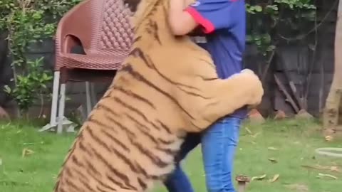 Brave kid with 🦁 Lion😍😍