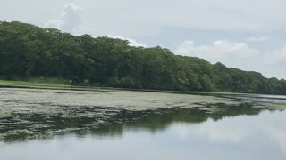 Florida Airboat