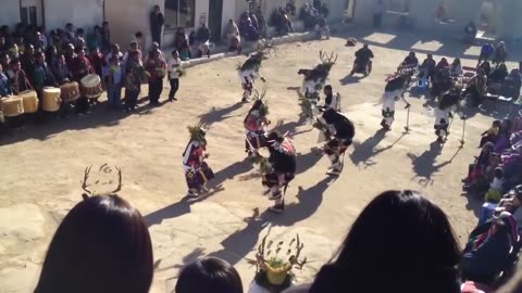 Hopi Buffalo Dance