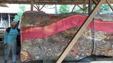 Shocking Discovery In 4000-Year-Old Ancient Pomegranate Red Tree Stump Antiq Pattern Translucent