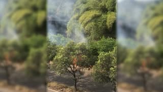 Incendio en la Transversal Oriental generó emergencia en Floridablanca