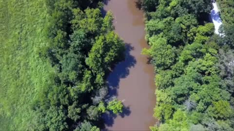 Flight Down Pomme De Terre River