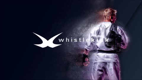 Whistle kick martial arts original sparring martial arts gloves