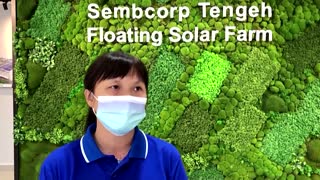 Singapore unveils huge solar panel farm