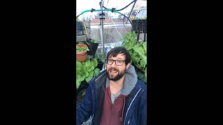 Garden Vlog 2 - Special Announcement