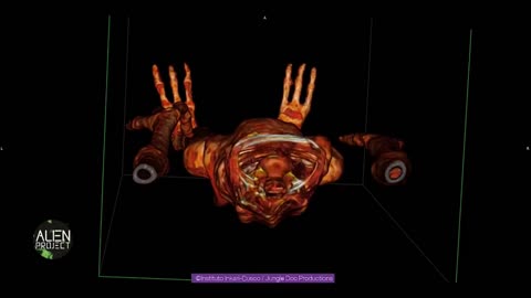 Nazca Mummy Imaging Analysis - Humanoid Reptile - Josefina