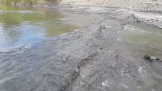 North Texas River Fossil Hunt - Bones