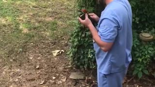 Man Makes Friends with Woodpecker that Runs into Windows