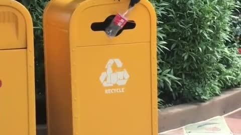 Bird Places Empty Bottle In Recycle Bin