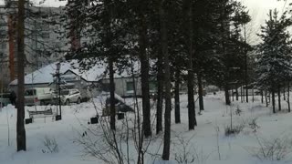 A walk through a small forest in the city of Neryungri in winter.