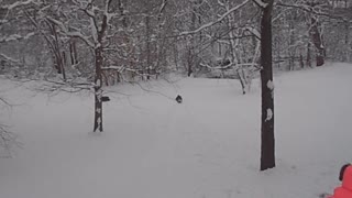 2013 Spring Break Blizzard