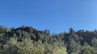 Coconino National Forest Arizona