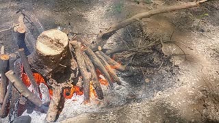 Stump or Log Burning with an Electric Leaf Blower