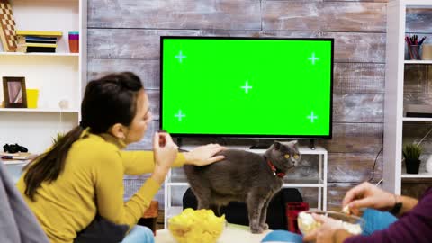 Couple playing with a cat by the TV