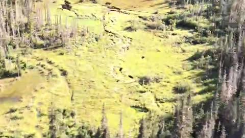 Helicopter above British Columbia Wilderness