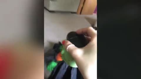 When the dog scared of toys! Funny Dog