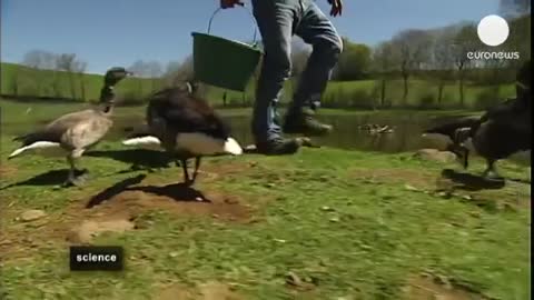 Migrating with the birds