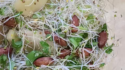 Alfalfa salad