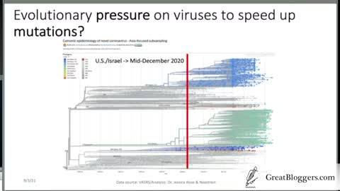 In FDA Hearings Dr. Jessica Rose Demonstrates Israeli Data May Show Covid 'Vaccinated' Are Driving Variants