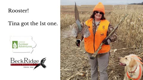 Iowa Outdoor Adventures - Iowa Pheasant Hunt - BeckRidge