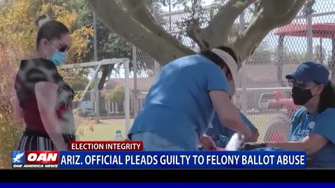Ariz. official pleads guilty to felony ballot abuse