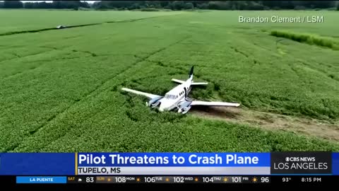 Pilot allegedly steals, threatens to crash plane in Mississippi