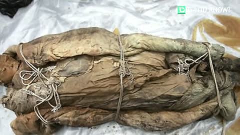 700 years COFFIN FOUND, what's inside will shock you!!