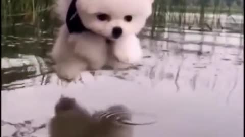 I told u I can swim!