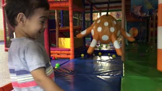 Fun at Lollipop Indoor Cat Playground in Melbourne