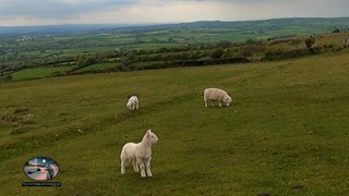 Driving to Brent tor