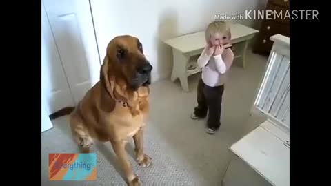funny videos baby dog, ( funny dog playing with baby
