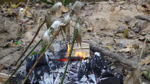 Cooking Squid Spider BBQ in Jungle