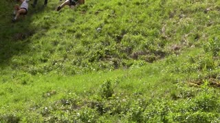 Ultimate Athleticism Displayed at the Cheese Rolling Race