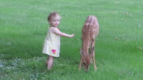 Little Girl Plays with Fawn | Bayzid Point