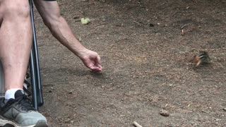 Fairwell Bend Campground, Oregon