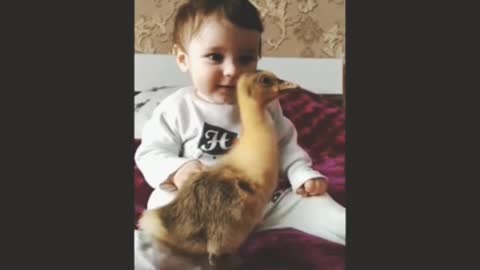 The child plays with the duck and laughs happily 🥰🤤