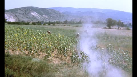 SHOT — Macedonian film 1972