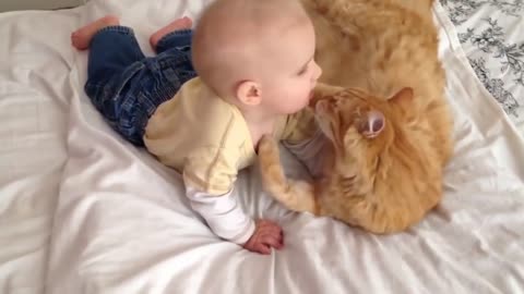 BABY e CAT
