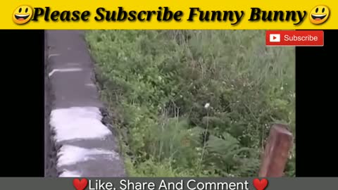 Funny compilations Part 1