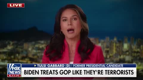 Tulsi Gabbard Unloads on Dems for Trying to Foment 'Civil War' Before Midterms
