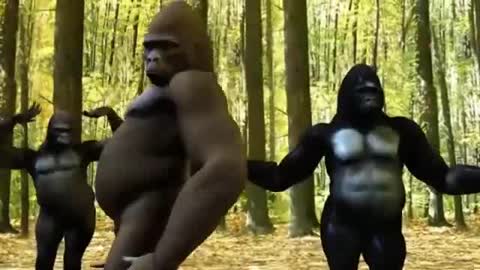 Gorilla Dance for Song