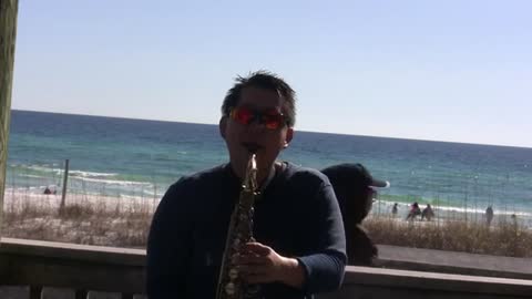 Live Saxophone Music Performance Collage at the beach